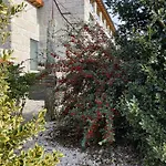 Quinta Da Tulha By Vimahotels מלון 4*