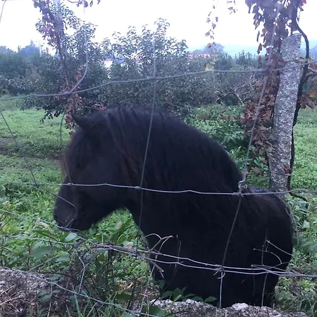 Quinta Da Tulha By Vimahotels מלון גימראייש