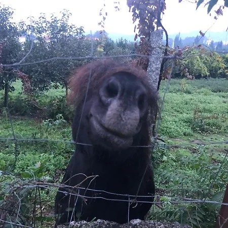 Quinta Da Tulha By Vimahotels 4*