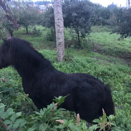 Quinta Da Tulha By Vimahotels 호텔 4*