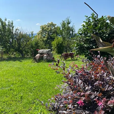 Quinta Da Tulha By Vimahotels Hotel