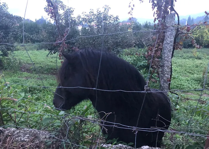 Quinta Da Tulha By Vimahotels מלון גימראייש